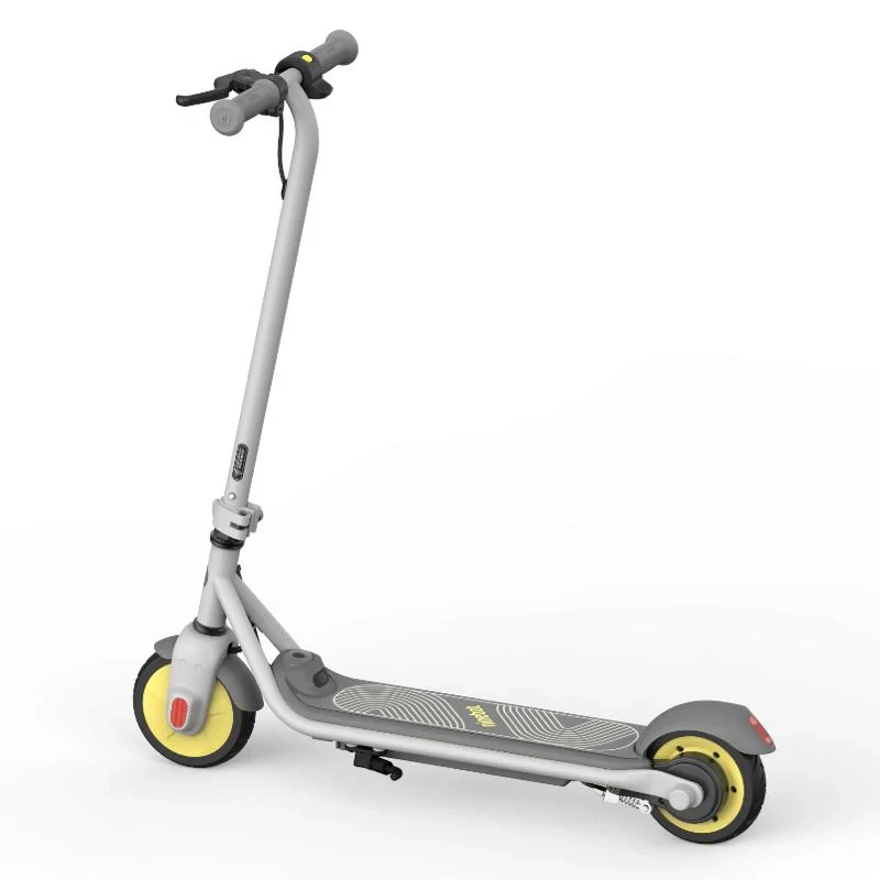 Segway-Ninebot Ninebot C10 elektrische step