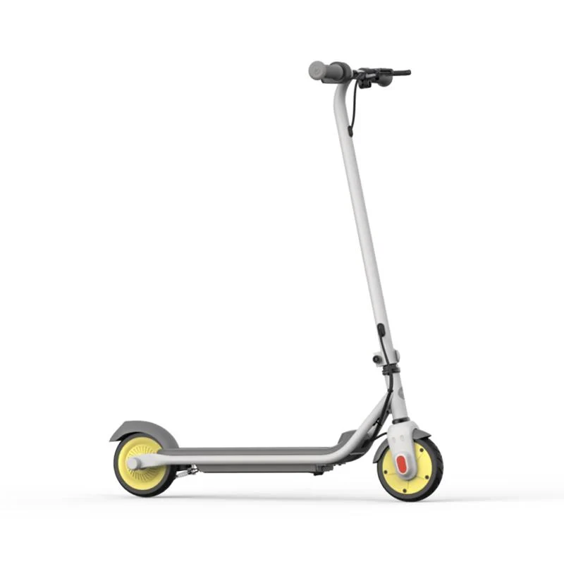 Segway-Ninebot Ninebot C10 elektrische step