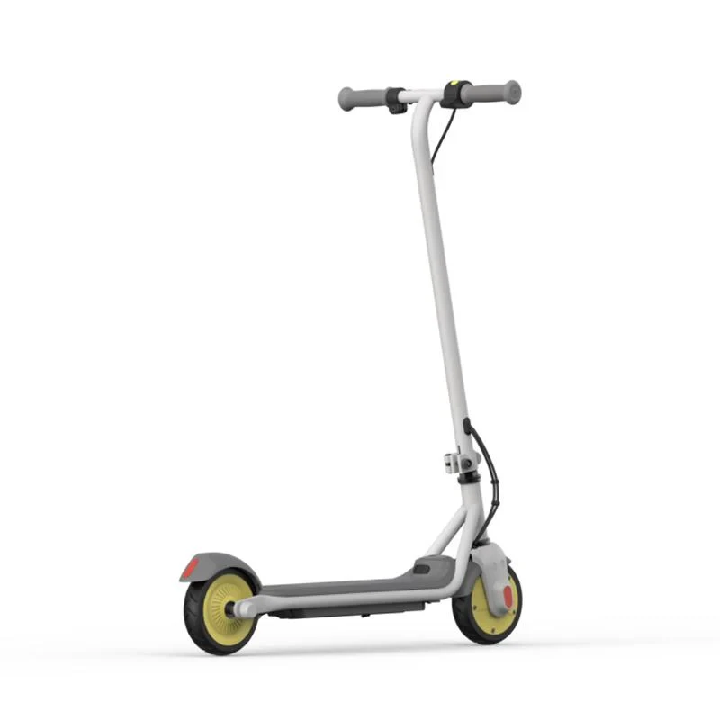 Segway-Ninebot Ninebot C10 elektrische step