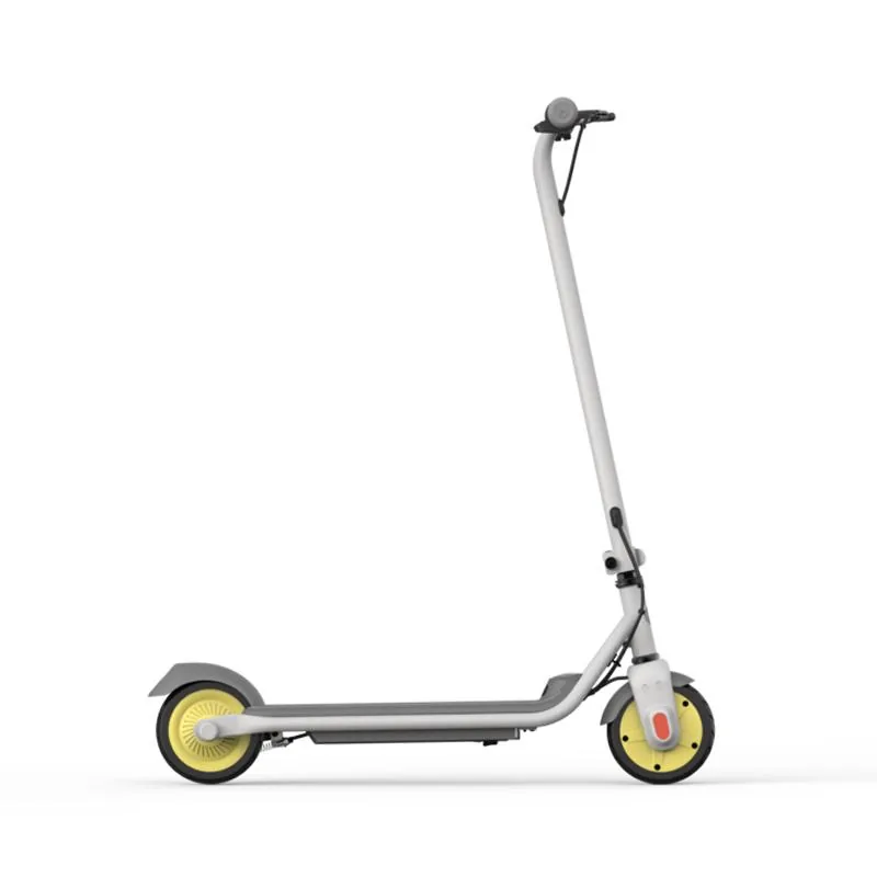 Segway-Ninebot Ninebot C10 elektrische step