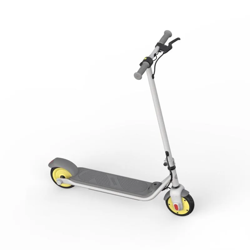 Segway-Ninebot Ninebot C10 elektrische step