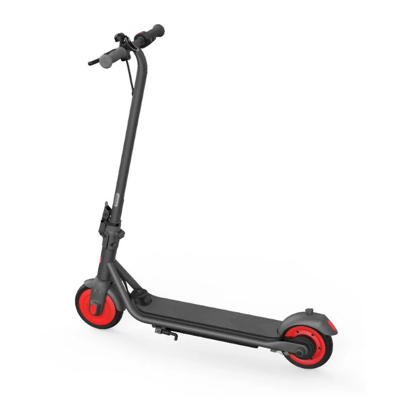 Segway-Ninebot Ninebot C20 elektrische step