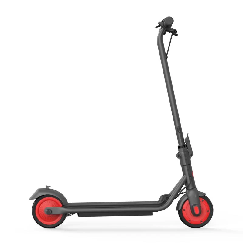 Segway-Ninebot Ninebot C20 elektrische step