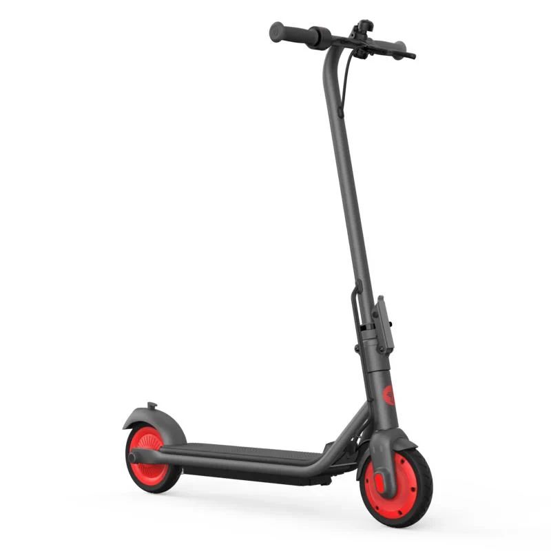 Segway-Ninebot Ninebot C20 elektrische step