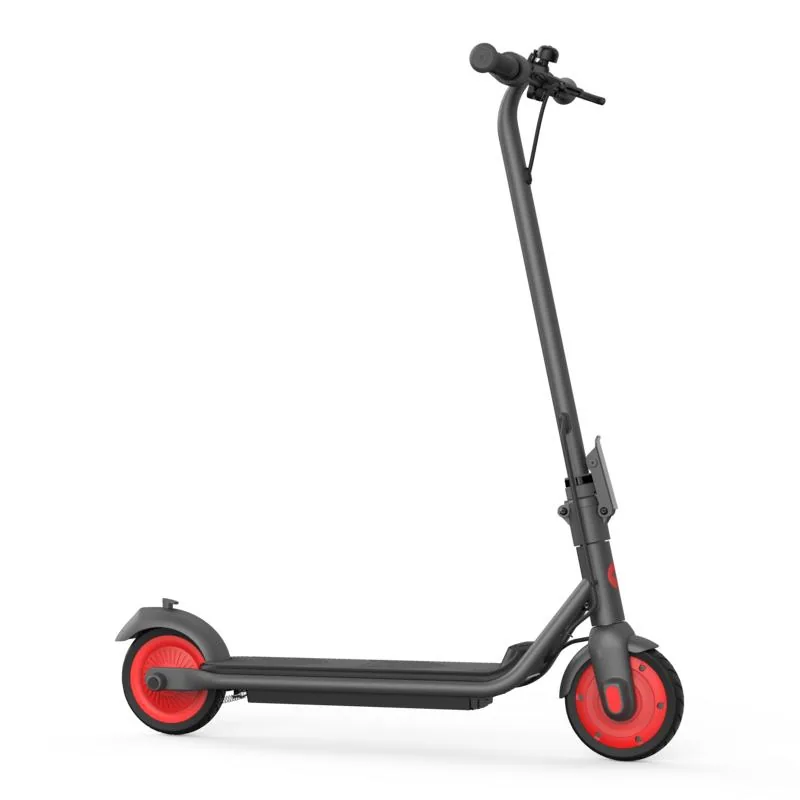 Segway-Ninebot Ninebot C20 elektrische step