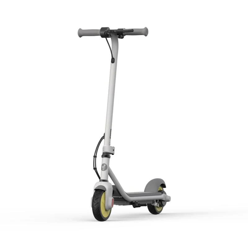 Segway-Ninebot Ninebot C8 elektrische step