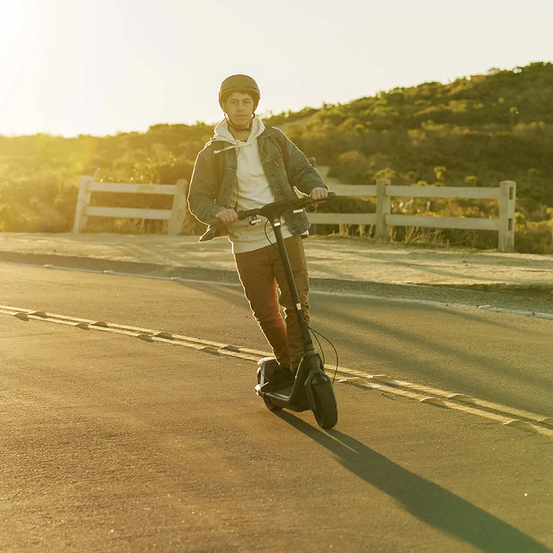 Segway-Ninebot Ninebot P65E elektrische step