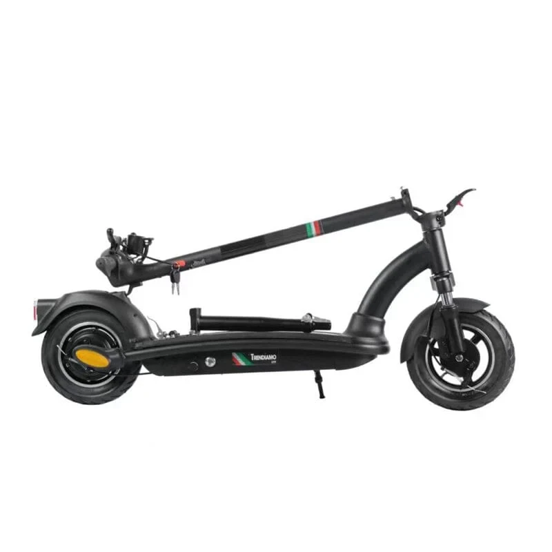 Trendiamo City II elektrische step